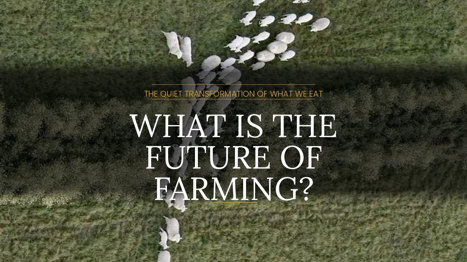 What Is the Future of Farming? The Green Deal, Rewilding and the Quiet Transformation of What We Eat