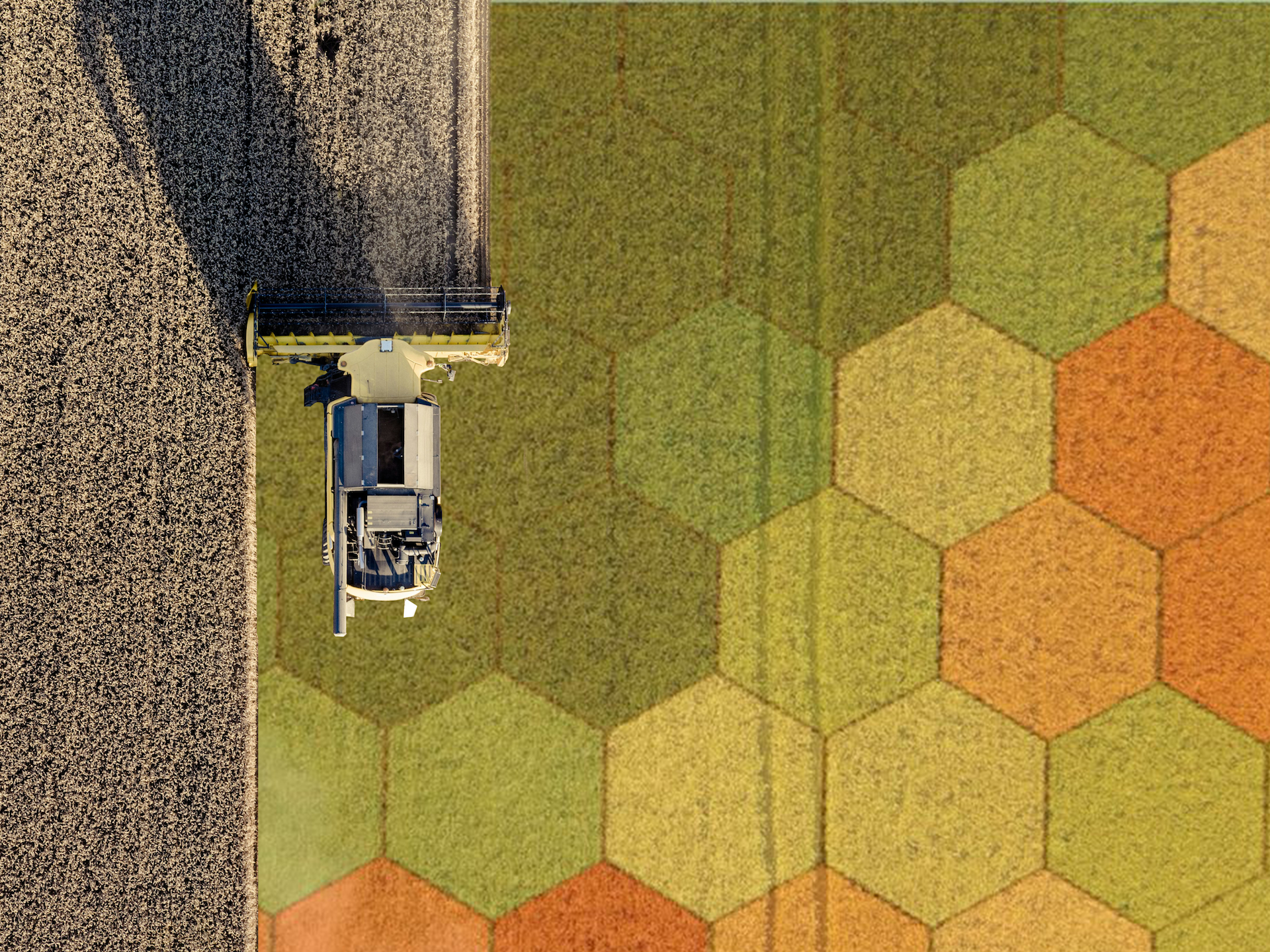 Green Growth combine in field